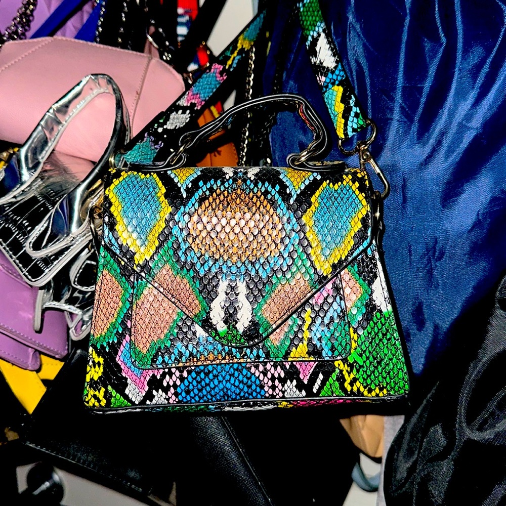 Snake Skin Colorful Purse